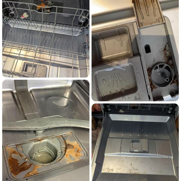A dishwasher filter, door and racks, before and after cleaning